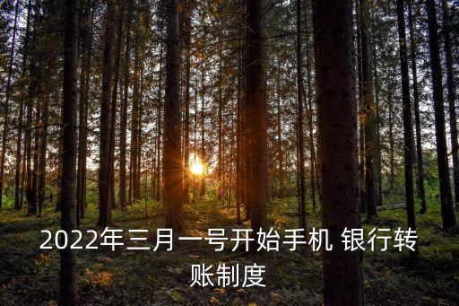 2022年三月一號開始手機 銀行轉(zhuǎn)賬制度