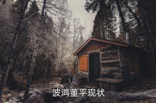 上海波鴻集團(tuán)有限公司,廣元波鴻汽車(chē)銷(xiāo)售服務(wù)有限公司