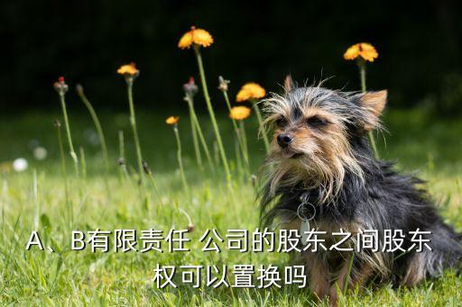 A、B有限責(zé)任 公司的股東之間股東權(quán)可以置換嗎
