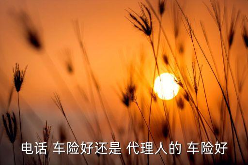 電話 車(chē)險(xiǎn)好還是 代理人的 車(chē)險(xiǎn)好