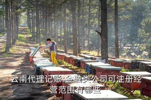  云南代理記賬:金融類公司可注冊(cè)經(jīng)營(yíng)范圍有哪些