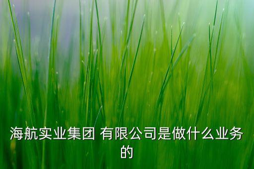 海航實業(yè)集團 有限公司是做什么業(yè)務的