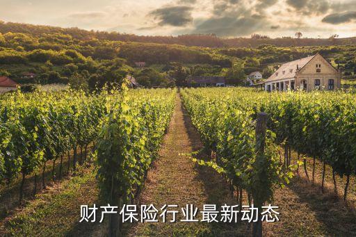  財(cái)產(chǎn)保險(xiǎn)行業(yè)最新動態(tài)