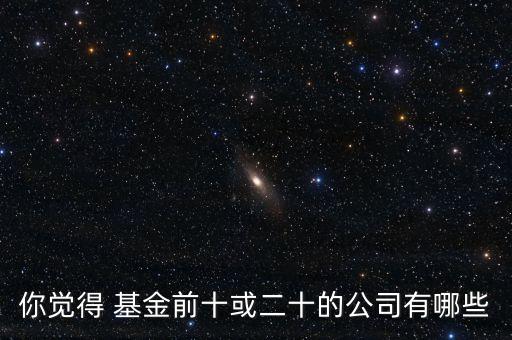 你覺(jué)得 基金前十或二十的公司有哪些