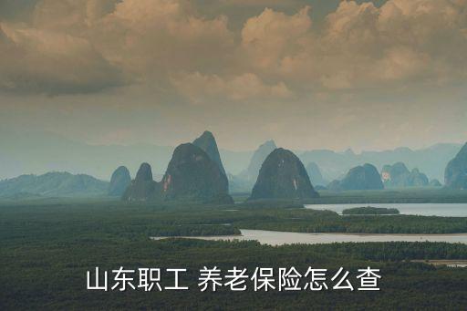 兗礦集團養(yǎng)老保險查詢