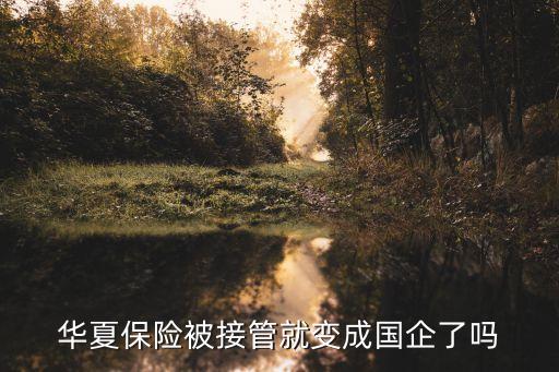 華夏保險(xiǎn)被接管就變成國企了嗎