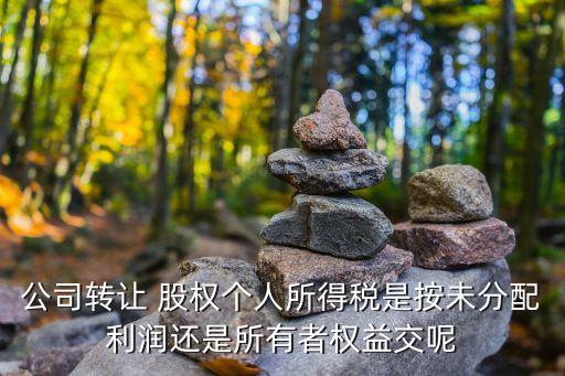 公司轉(zhuǎn)讓 股權(quán)個(gè)人所得稅是按未分配利潤(rùn)還是所有者權(quán)益交呢