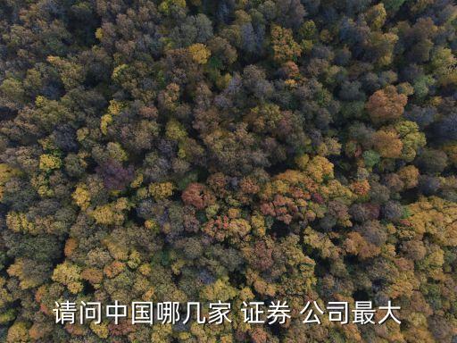請問中國哪幾家 證券 公司最大