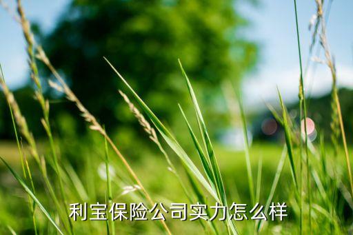  利寶保險公司實(shí)力怎么樣
