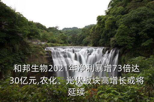 和邦生物2021年凈利暴增73倍達(dá)30億元,農(nóng)化、光伏板塊高增長(zhǎng)或?qū)⒀永m(xù)