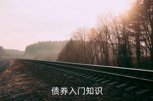  債券入門知識(shí)