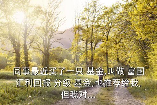 同事最近買(mǎi)了一只 基金,叫做 富國(guó)匯利回報(bào) 分級(jí) 基金,也推薦給我,但我對(duì)...