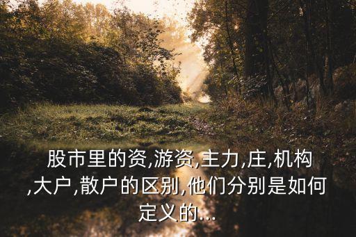  股市里的資,游資,主力,莊,機(jī)構(gòu),大戶,散戶的區(qū)別,他們分別是如何定義的...