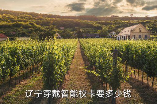 遼寧穿戴智能?？ㄒ嗌馘X