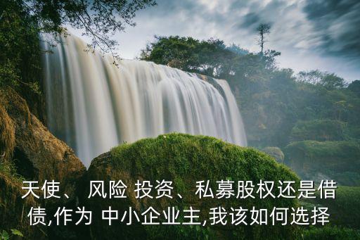 天使、 風(fēng)險(xiǎn) 投資、私募股權(quán)還是借債,作為 中小企業(yè)主,我該如何選擇