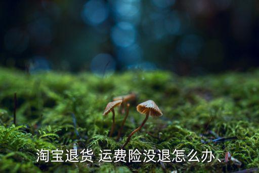 淘寶退貨 運(yùn)費(fèi)險(xiǎn)沒退怎么辦、