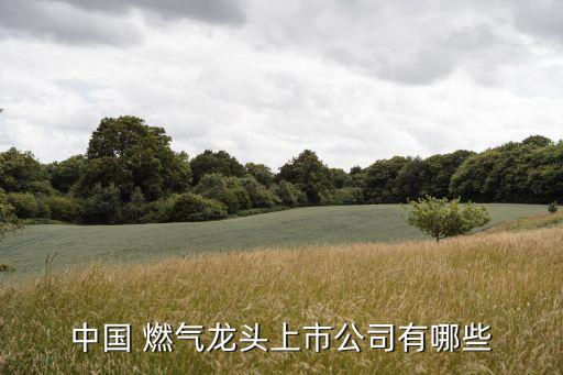 中國(guó) 燃?xì)恺堫^上市公司有哪些