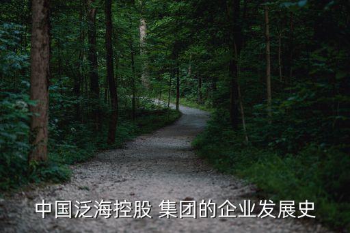 中國(guó)泛?？毓?集團(tuán)的企業(yè)發(fā)展史