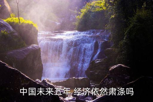 中國未來五年 經濟依然肅滌嗎