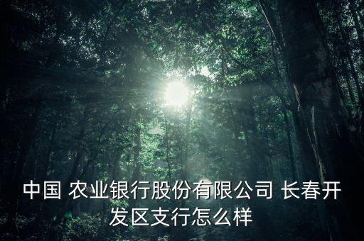 中國(guó) 農(nóng)業(yè)銀行股份有限公司 長(zhǎng)春開(kāi)發(fā)區(qū)支行怎么樣