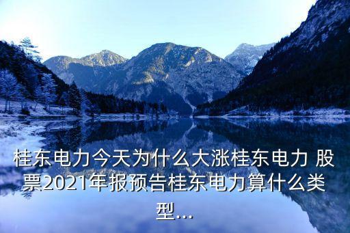 桂東電力今天為什么大漲桂東電力 股票2021年報(bào)預(yù)告桂東電力算什么類(lèi)型...
