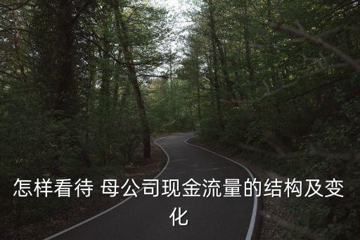 怎樣看待 母公司現(xiàn)金流量的結構及變化
