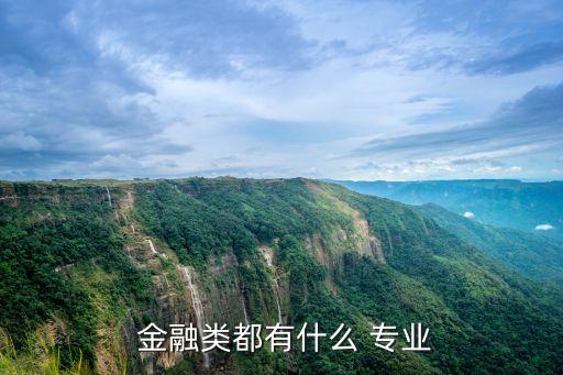  金融類(lèi)都有什么 專(zhuān)業(yè)