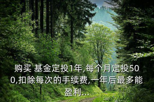 購(gòu)買(mǎi) 基金定投1年,每個(gè)月定投500,扣除每次的手續(xù)費(fèi),一年后最多能盈利...