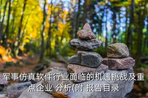 軍事仿真軟件行業(yè)面臨的機(jī)遇挑戰(zhàn)及重點(diǎn)企業(yè) 分析(附 報告目錄