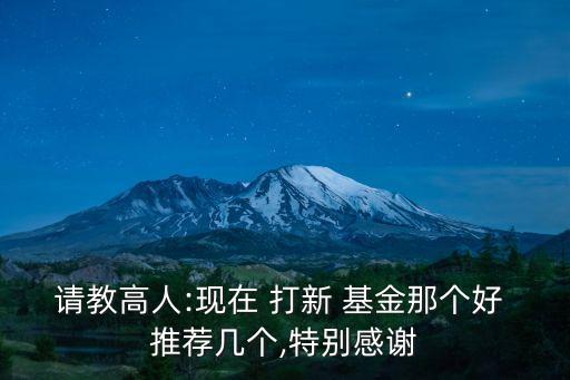 請教高人:現在 打新 基金那個好 推薦幾個,特別感謝