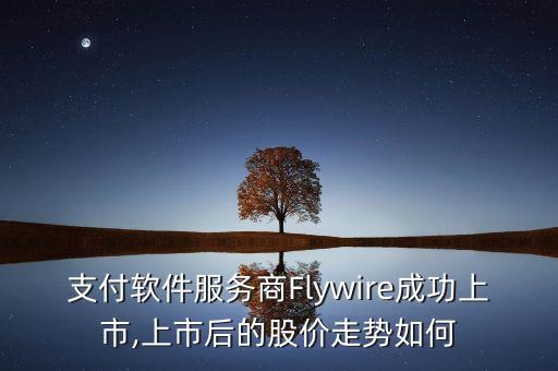 支付軟件服務商Flywire成功上市,上市后的股價走勢如何