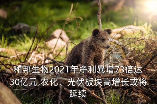 和邦生物2021年凈利暴增73倍達(dá)30億元,農(nóng)化、光伏板塊高增長或?qū)⒀永m(xù)
