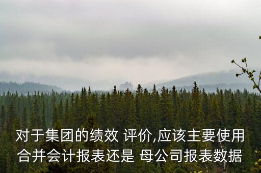 對于集團的績效 評價,應該主要使用合并會計報表還是 母公司報表數(shù)據(jù)