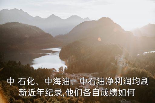 中 石化、中海油、中石油凈利潤均刷新近年紀(jì)錄,他們各自成績?nèi)绾? class=