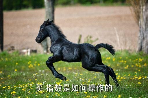 買(mǎi) 指數(shù)是如何操作的