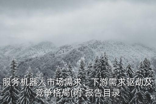 服務(wù)機(jī)器人市場需求、下游需求驅(qū)動及競爭格局(附 報告目錄
