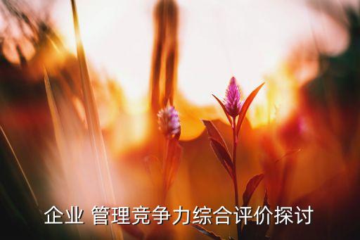 企業(yè) 管理競爭力綜合評價(jià)探討