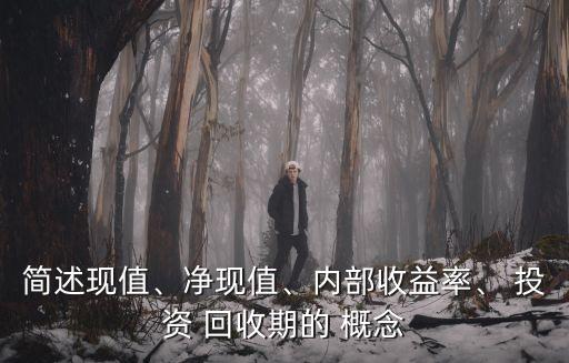 簡(jiǎn)述現(xiàn)值、凈現(xiàn)值、內(nèi)部收益率、 投資 回收期的 概念
