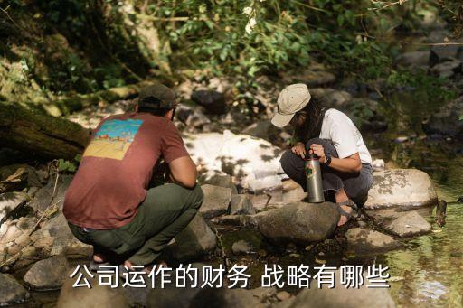 擴(kuò)張型投資戰(zhàn)略,公司投資擴(kuò)張戰(zhàn)略執(zhí)行情況評價(jià)