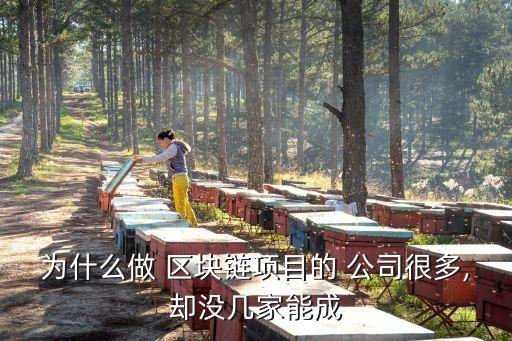 區(qū)塊鏈技術創(chuàng)業(yè)公司,中國區(qū)塊鏈技術公司