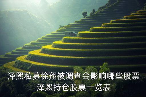  澤熙私募徐翔被調(diào)查會(huì)影響哪些股票 澤熙持倉股票一覽表