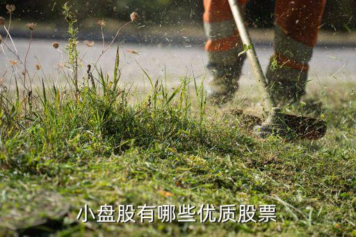 小盤(pán)股有哪些優(yōu)質(zhì)股票