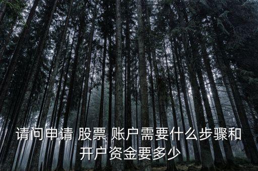 請(qǐng)問(wèn)申請(qǐng) 股票 賬戶需要什么步驟和 開戶資金要多少