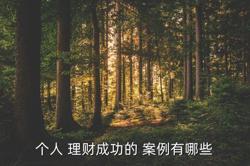 個人 理財(cái)成功的 案例有哪些