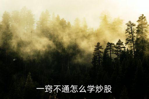 一竅不通怎么學炒股