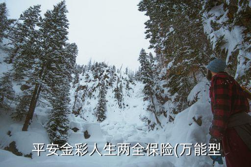  平安金彩人生兩全保險(xiǎn)(萬(wàn)能型