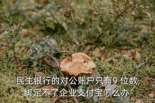  民生銀行的對(duì)公賬戶(hù)只有9 位數(shù),綁定不了企業(yè)支付寶怎么辦