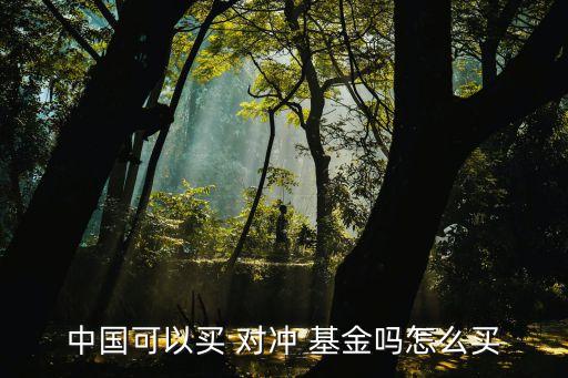 中國可以買 對(duì)沖 基金嗎怎么買