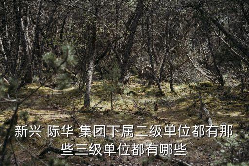 新興 際華 集團(tuán)下屬二級單位都有那些三級單位都有哪些