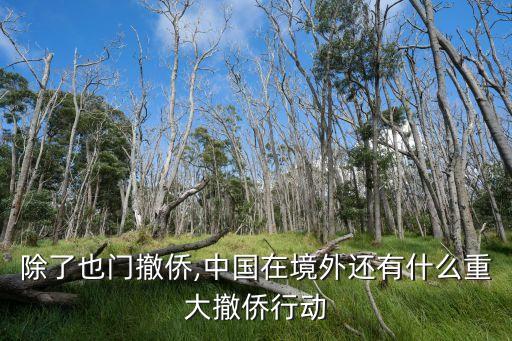 除了也門(mén)撤僑,中國(guó)在境外還有什么重大撤僑行動(dòng)